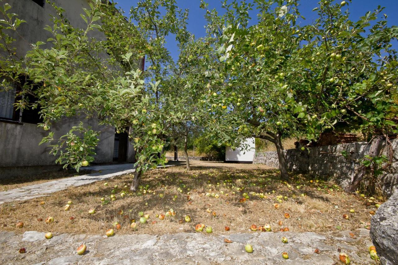 Вилла Sailor'S Rustic House Вирпазар Экстерьер фото