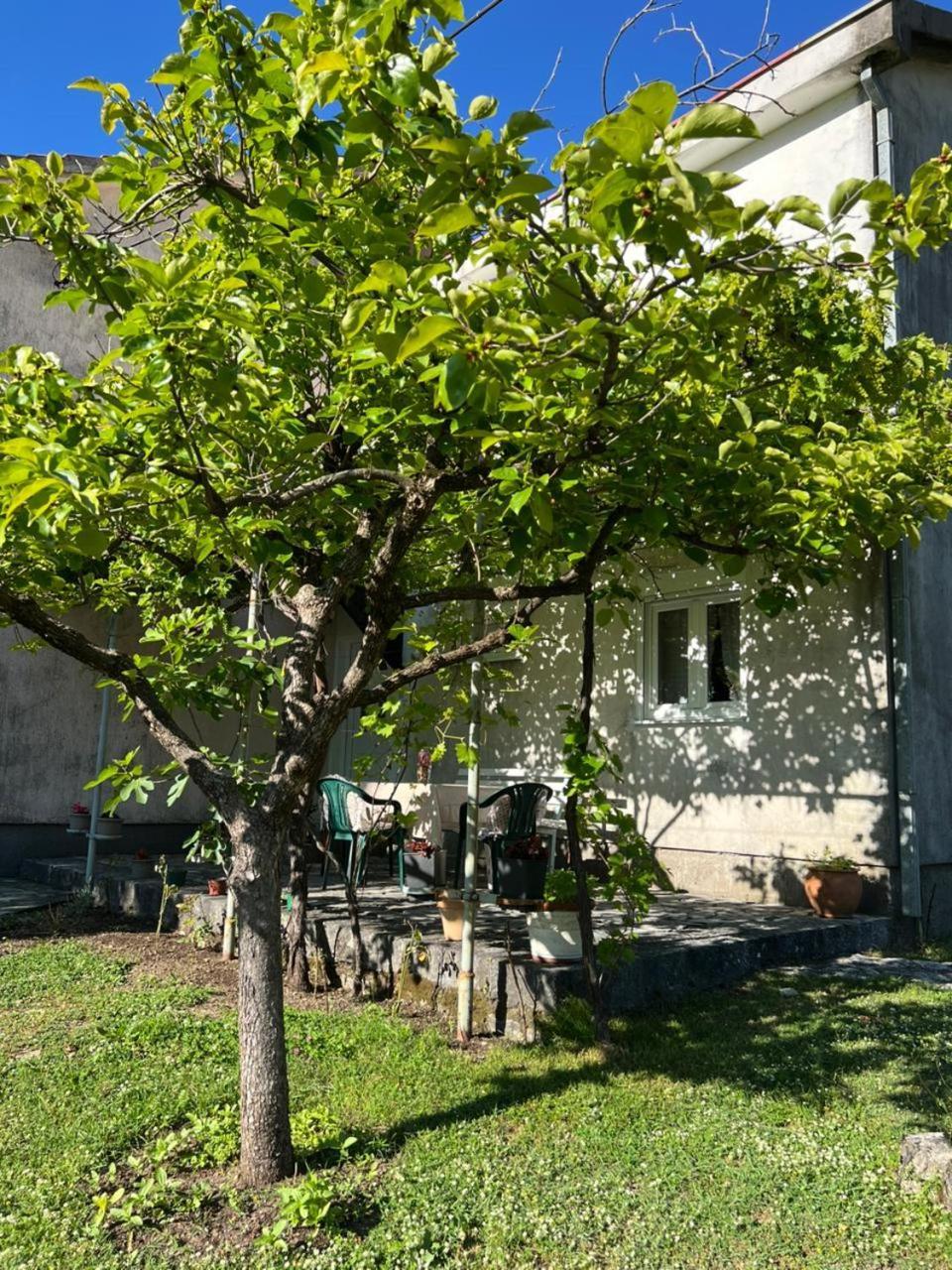 Вилла Sailor'S Rustic House Вирпазар Экстерьер фото